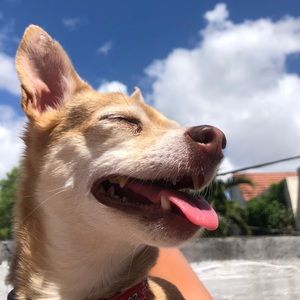 Meet your Posher, Francesca